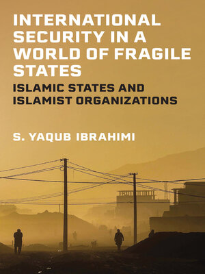 cover image of International Security in a World of Fragile States